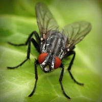 /album/egskomdingde/photolia-a01-jpg/