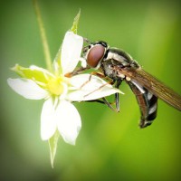 /album/egskomdingde/photolia-a02-jpg/