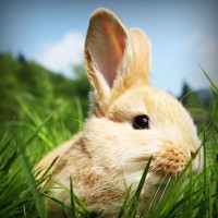 /album/egskomdingde/photolia-a03-jpg/