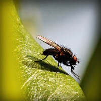 /album/egskomdingde/photolia-a04-jpg/