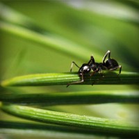 /album/egskomdingde/photolia-a05-jpg/