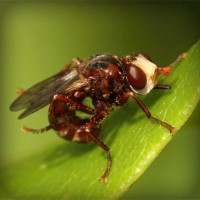 /album/egskomdingde/photolia-a06-jpg/