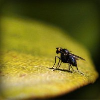 /album/egskomdingde/photolia-a07-jpg/