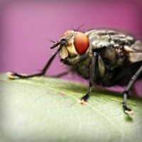 /album/egskomdingde/photolia-a08-jpg/